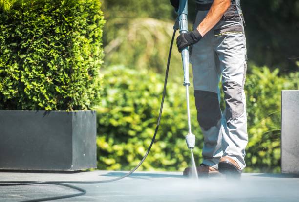 Best Graffiti Removal  in Chena Ridge, AK