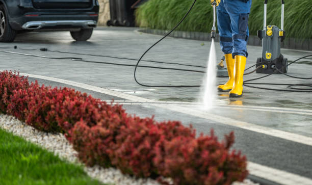 Best Dumpster Area Cleaning  in Chena Ridge, AK