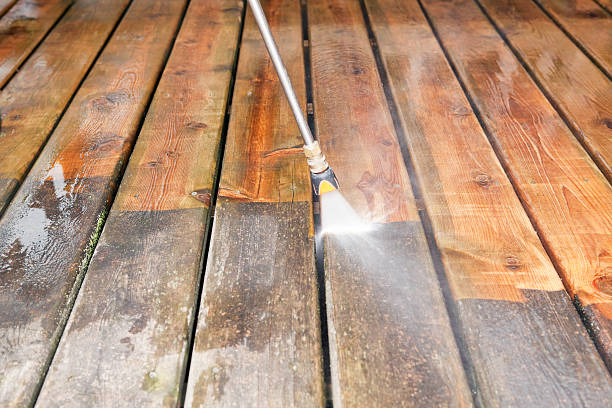 Best Fence Cleaning  in Chena Ridge, AK
